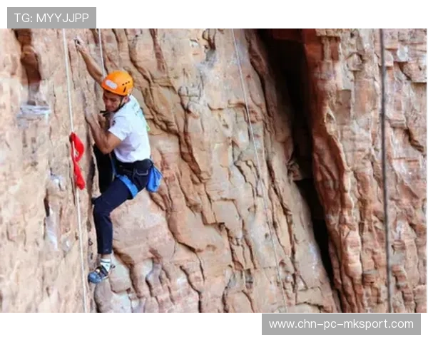 攀岩赛事与环保组织合作举办岩壁清洁志愿活动